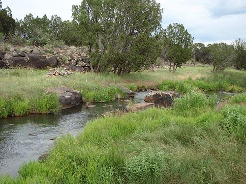 Silver Creek (Arizona) Fly Fishing Sedona Fly Fishing Adventures Part 4