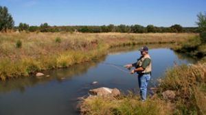 Silver Creek (Arizona) Silver Creek seasonal trout fishery opens Oct 1 Arizona Fishing