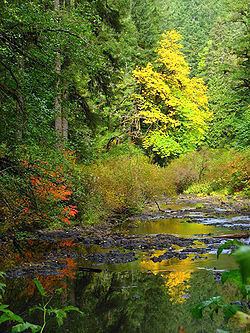 Silver Creek (Marion County, Oregon) httpsuploadwikimediaorgwikipediacommonsthu