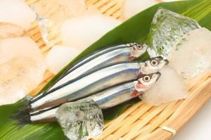 Silver-stripe round herring Kibinago no Sashimi Silverstripe Round Herring Sashimi Japanese