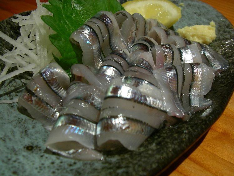 Silver-stripe round herring httpsuploadwikimediaorgwikipediacommons11