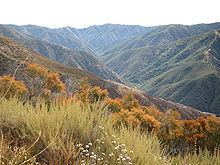 Silverado Canyon httpsuploadwikimediaorgwikipediacommonsthu