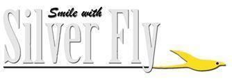 Silverfly (airline) httpsuploadwikimediaorgwikipediaencc9Sil
