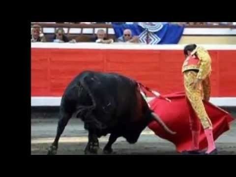 Silverio Pérez (bullfighter) SILVERIO PEREZ PASODOBLE POR JAVIER SOLIS YouTube