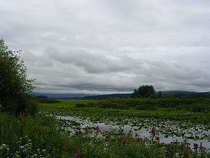 Silverlake (Washington) httpsuploadwikimediaorgwikipediacommonsthu