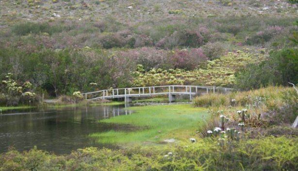 Silvermine Nature Reserve Silvermine Nature Reserve Cape Town Table Mountain National Park