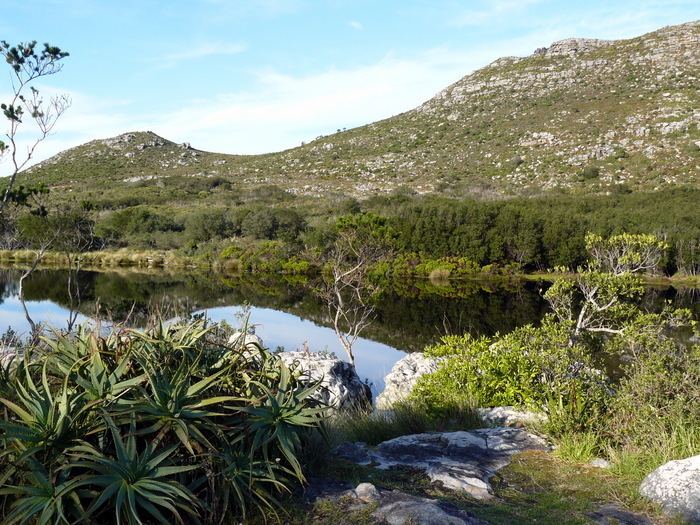 Silvermine Nature Reserve Hiking up to Elephant39s Eye Cave in Silvermine Nature Reserve The