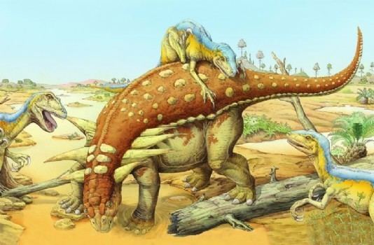 Silvisaurus Silvisaurus and the nodosaurs Qfiles Encyclopedia