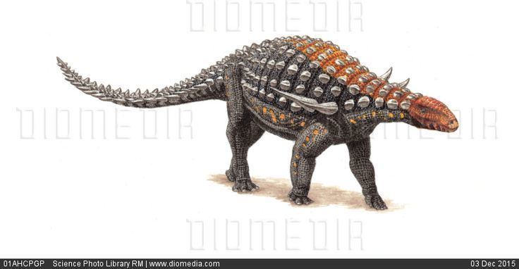 Silvisaurus Silvisaurus condrayi dinosaur artwork stock photo Armored