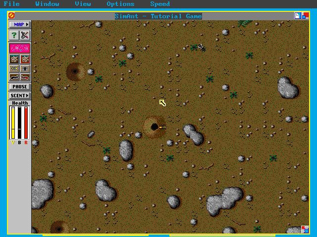 SimAnt Download SimAnt The Electronic Ant Colony My Abandonware