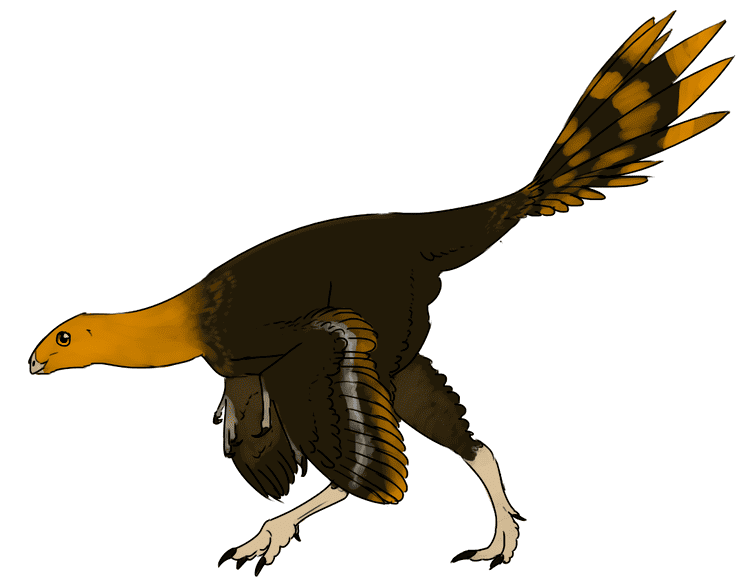 Similicaudipteryx Similicaudipteryx by StygimolochSpinifer on DeviantArt