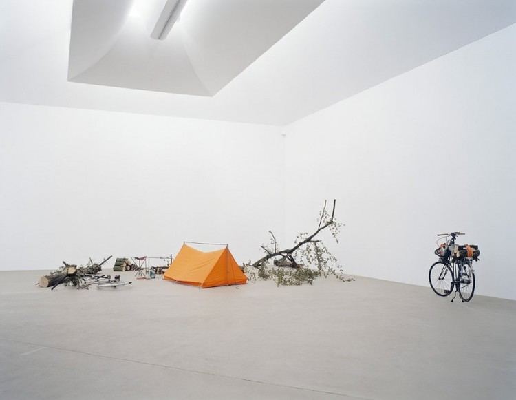 Simon Starling We Find Wildness