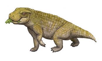 Simosuchus palaeopedia The pugnosed crocodile Simosuchus Dragon Tongues