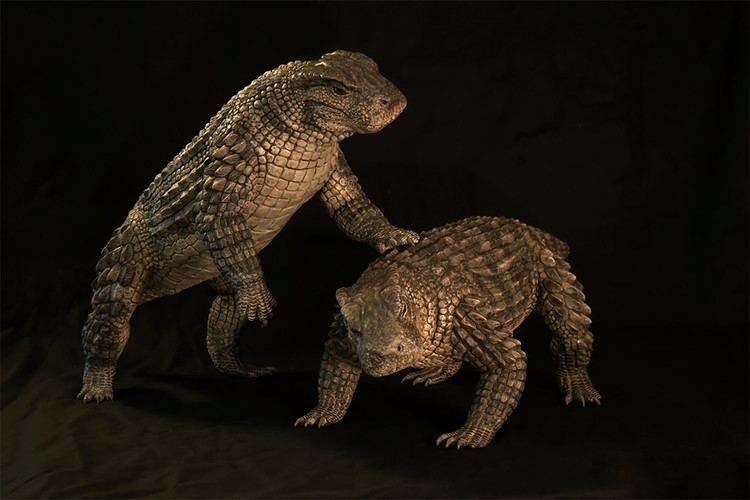Simosuchus Finished Products Ark Encounter