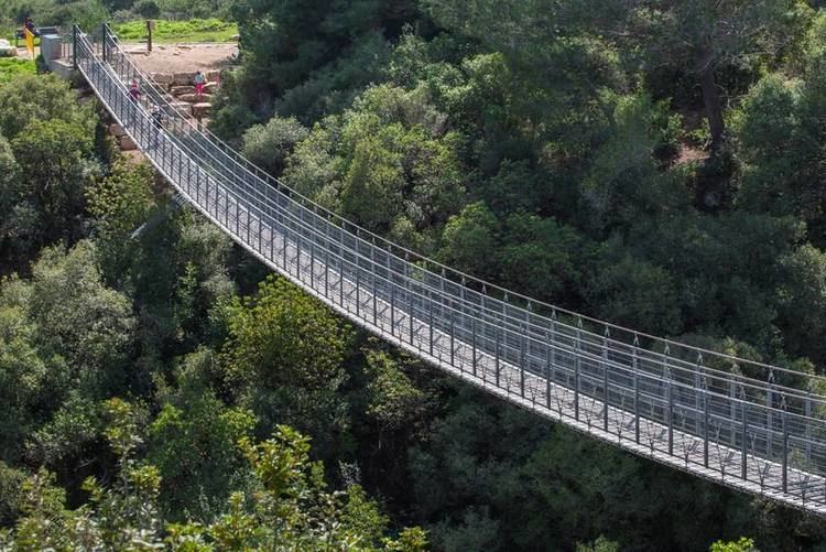 Simple suspension bridge Travel through the treetops 6 breathtaking suspension bridges