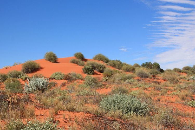 Simpson Desert, South Australia