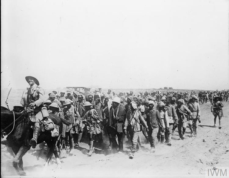 Sinai and Palestine Campaign THE BRITISH ARMY IN THE SINAI AND PALESTINE CAMPAIGN 19151918 Q