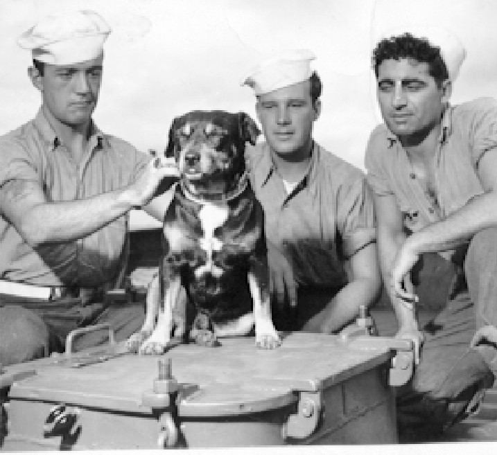 Sinbad (dog) SINBAD THE FOUR LEGGED SAILOR