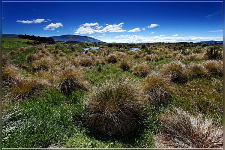 Sinclair Wetlands sinclair wetlands a photo from Otago South Island TrekEarth