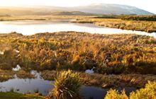 Sinclair Wetlands Waihola Waipori Wetlands Otago places to visit