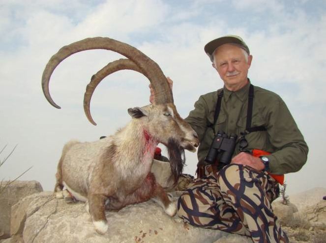 Sindh ibex Sindh Ibex Hunting in Pakistan GotHuntscom