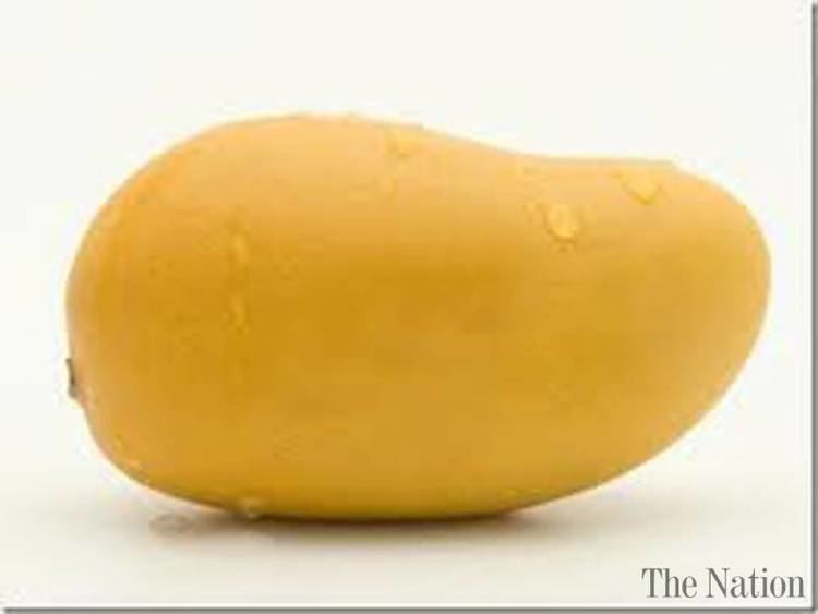 Sindhri gets first consignment of Pakistani 39Sindhri39 mangoes