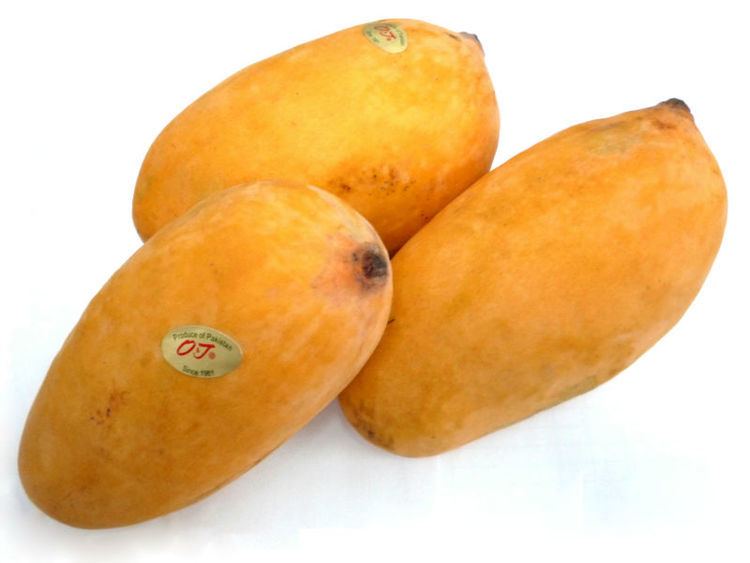 Sindhri Mirpurkhas Sindhri Mangoes Buy Fresh Mango Product on Alibabacom