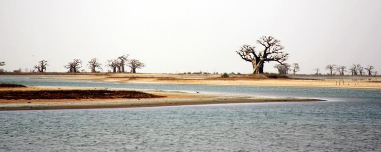 Sine-Saloum Sine Saloum Delta Senegal