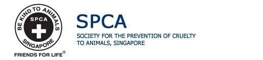 Singapore Society for the Prevention of Cruelty to Animals wwwspcaorgsgimagestemplate402jpg