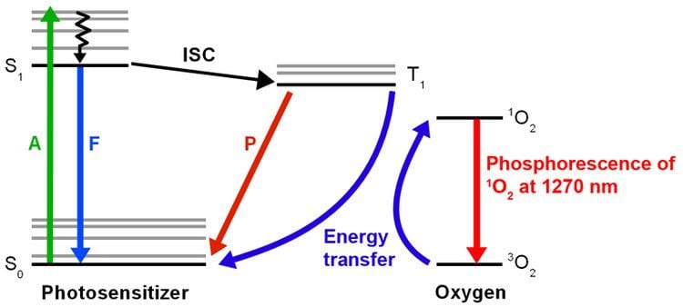 Singlet oxygen Singlet Oxygen PicoQuant