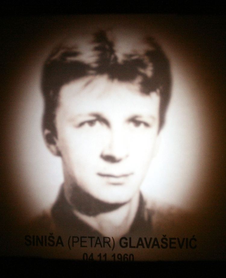 Sinisa Glavasevic Sinia Glavaevi Wikipedija