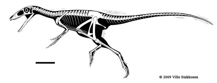 Sinocalliopteryx sinocalliopteryx DeviantArt