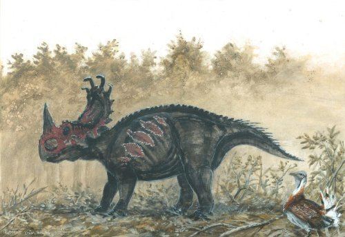 Sinoceratops sinoceratops Tumblr