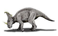 Sinoceratops Sinoceratops Wikipedia