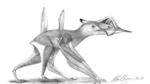 Sinopterus Discoveries of SINOPTERUS Dinosaurs