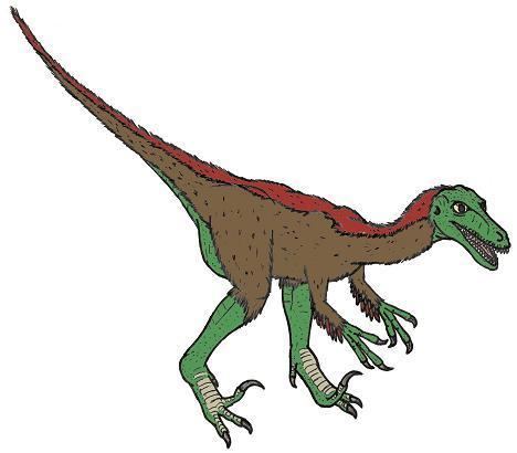 Sinornithoides Sinornithoides Dinosaur Facts information about the dinosaur