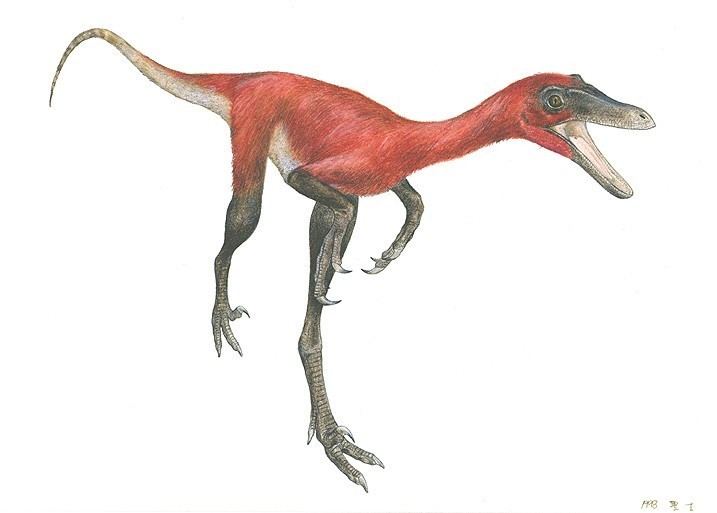 Sinornithoides Sinornithoides Pictures amp Facts The Dinosaur Database