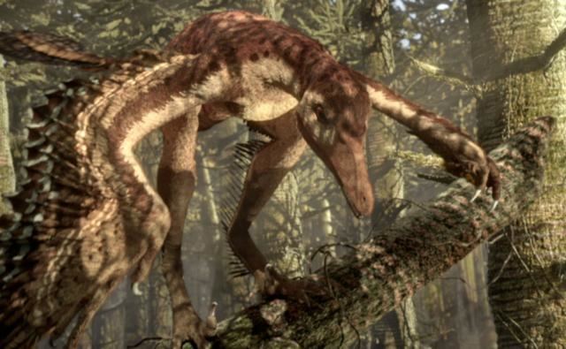 Sinornithosaurus BBC Nature Sinornithosaurus videos news and facts
