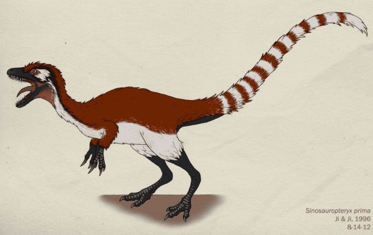 Sinosauropteryx sinosauropteryx DeviantArt