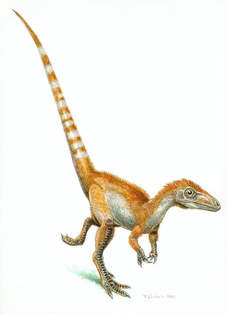 Sinosauropteryx Sinosauropteryx prima A Dinosaur A Day