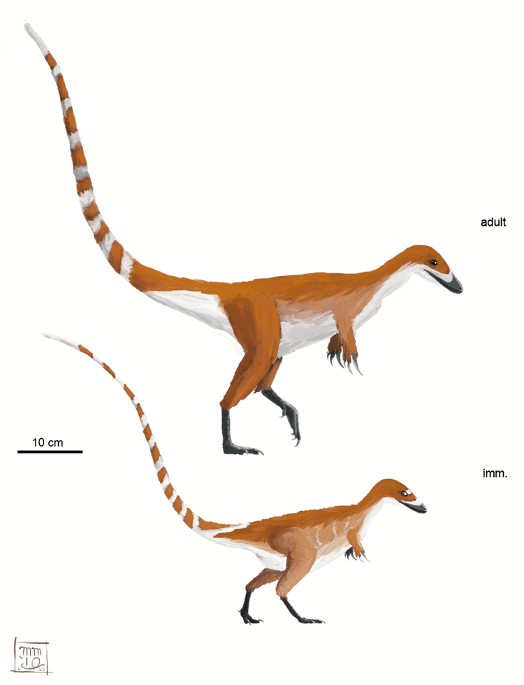 Sinosauropteryx Matt Martyniuk Sinosauropteryx