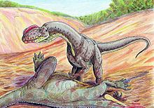 Sinosaurus httpsuploadwikimediaorgwikipediacommonsthu