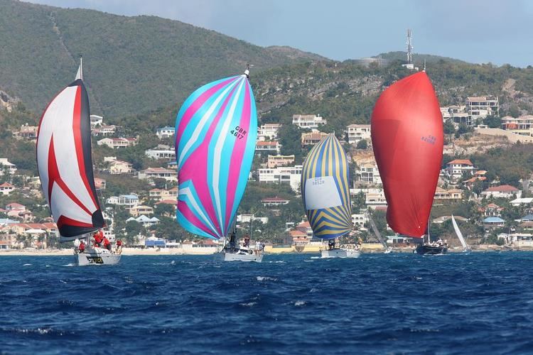 Sint Maarten Heineken Regatta Sint Maarten39s new nature attraction Parotte Ville Bird Sanctuary