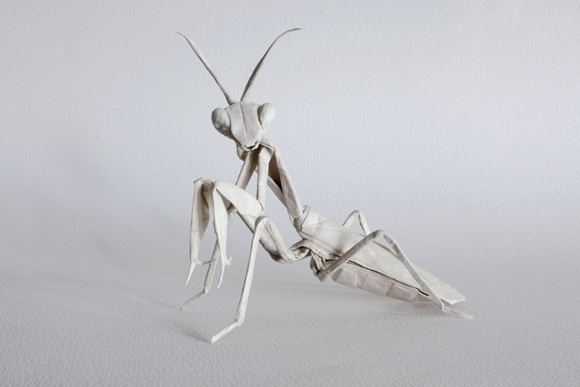 Sipho Mabona Genius Examples of Origami Artwork by Sipho Mabona Bloggs74