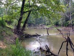 Sipsey River wwwoutdooralabamacomsitesdefaultfilesimages