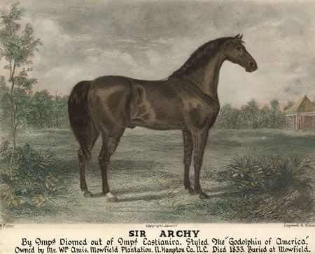 Sir Archy Sir Archie An Equine Superstar North Carolina Miscellany