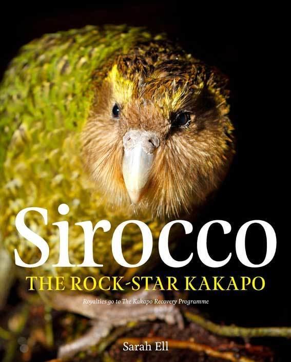 Sirocco (parrot) Sirocco the kakapo Conservation blog