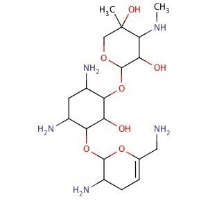 Sisomicin Sisomicin CAS 32385118 SCBT