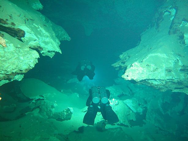Sistema Ox Bel Ha Ox Bel Ha The Charismatic Mexican Giant Global Underwater Explorers