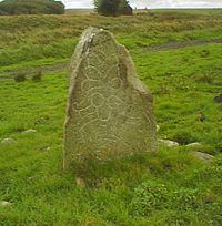Sjellebro Stone httpsuploadwikimediaorgwikipediacommonsthu